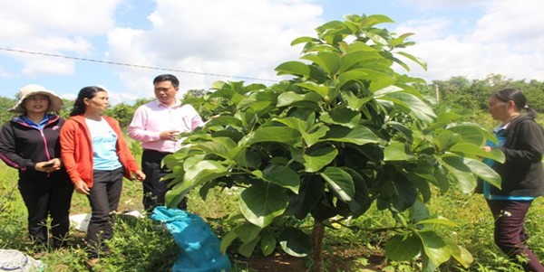 NHỮNG CÁNH TAY NỐI DÀI